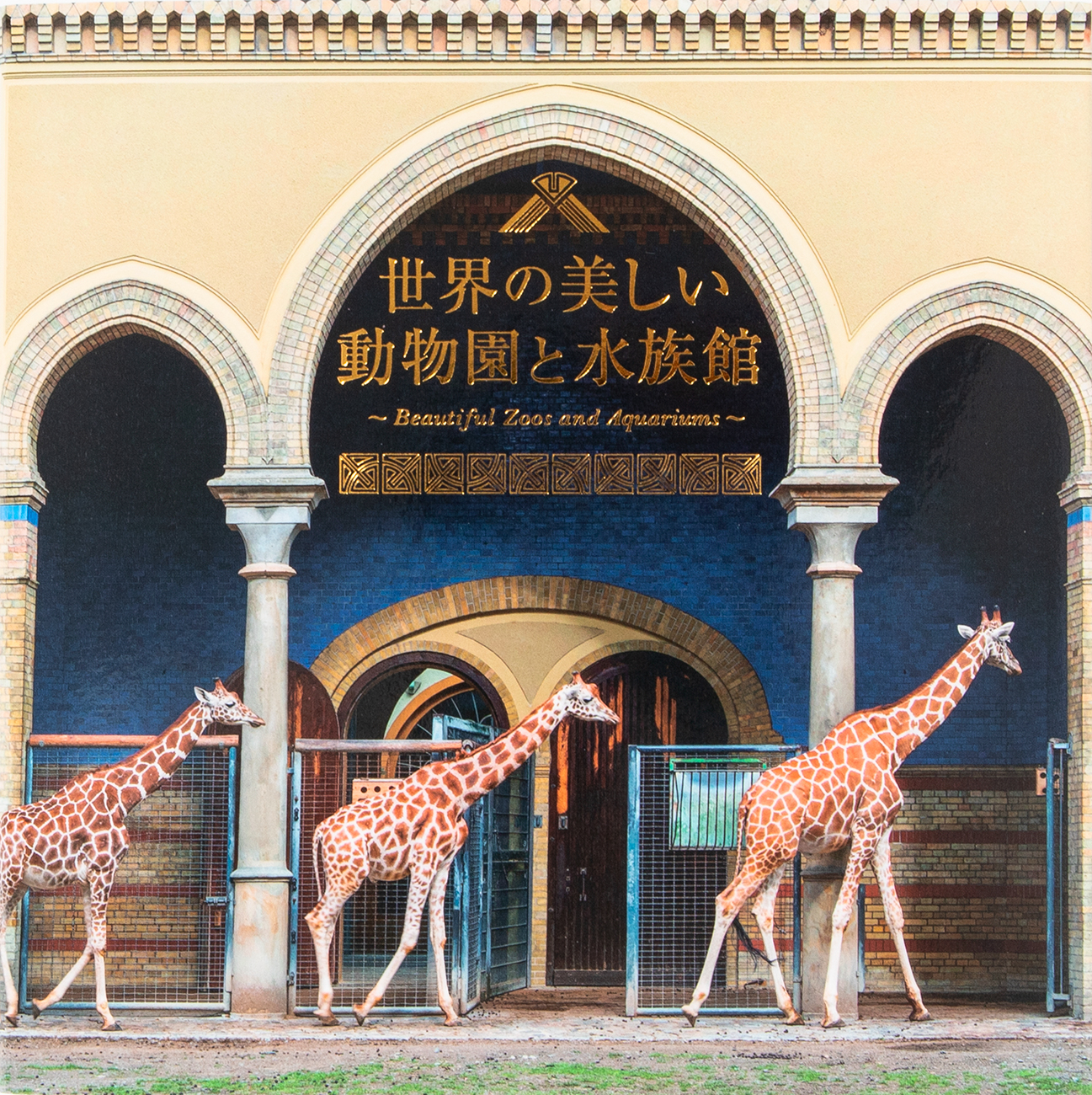 チャーミングな生きものたちが暮らす 驚きと癒しの空間を収録 世界の美しい動物園と水族館 を10 21発売 株式会社パイ インターナショナルのプレスリリース