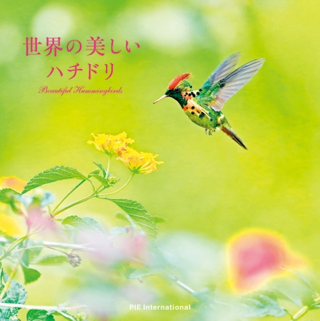 まるで花のような愛らしさ きらめくハチドリ104種 世界の美しいハチドリ 刊行のお知らせ 株式会社パイ インターナショナルのプレスリリース