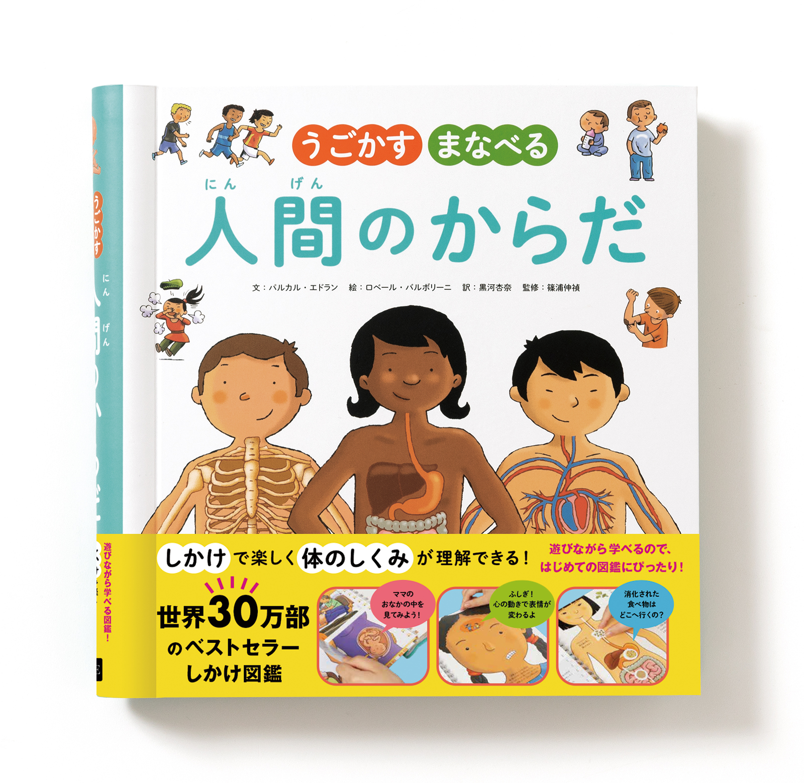 遊びながら学べるから はじめての図鑑にぴったり しかけで楽しく体のしくみが理解できる世界30万部発行のベストセラーしかけ図鑑 うごかす まなべる 人間のからだ 8 24発売 株式会社パイ インターナショナルのプレスリリース