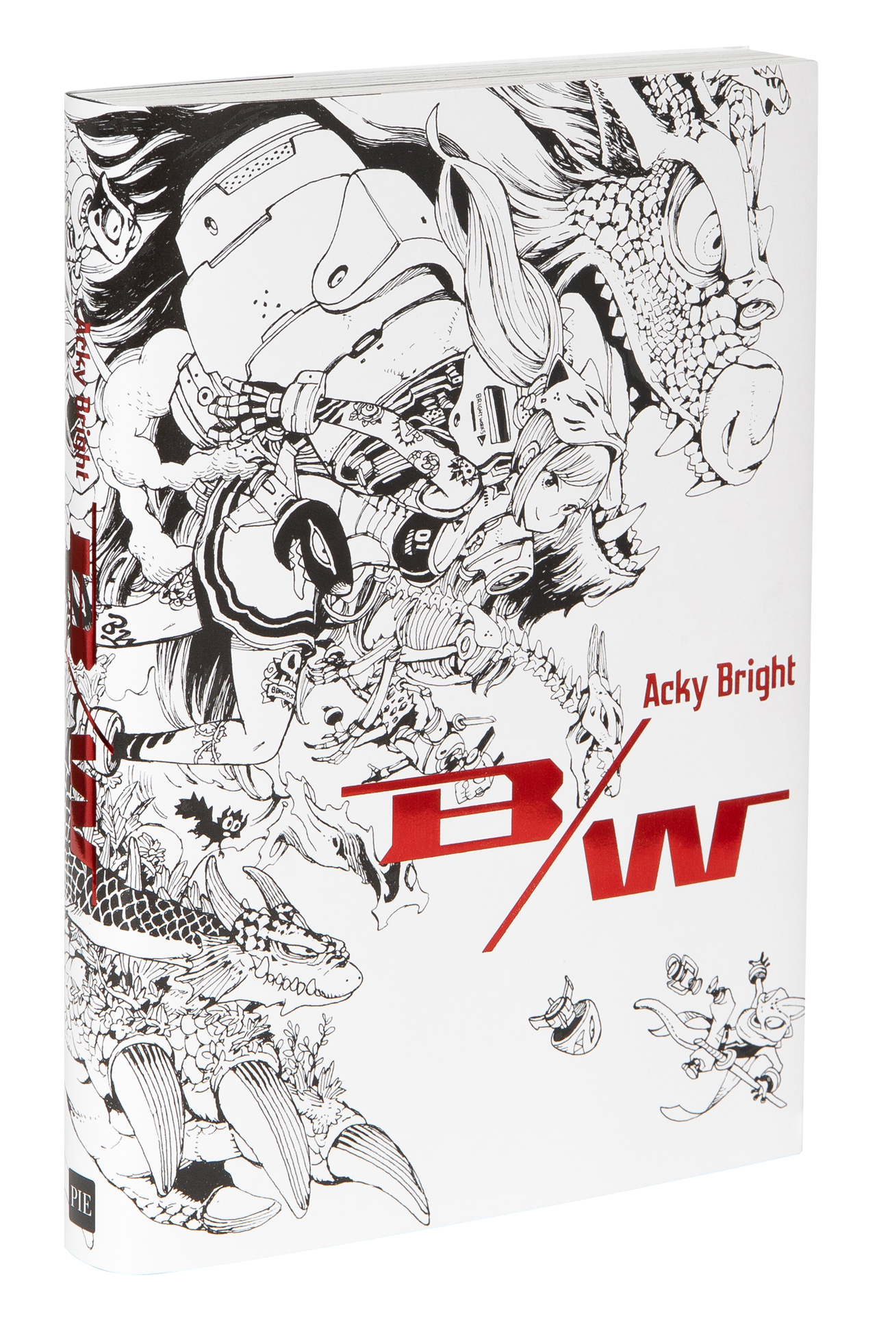 イラストレーターAcky Bright待望の商業初画集！『Acky Bright B/W』11