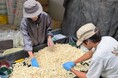 【徳島県鳴門市】「おてつたび」×「鳴門市」～「半農半X」推進シェアハウス事業～