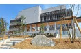 令和7年4月1日採用予定 鳴門市職員追加募集【保健師】