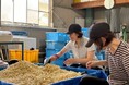 「おてつたび」×「鳴門市」 参加倍率平均4倍超!?リピーター続出!?移住希望者が1カ月のお試し移住が体験できる「半農半X」推進シェアハウス事業を実施!