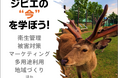 ジビエの“今”を学ぼう！全国各地（北海道・宮城県・東京都・鹿児島県）でセミナーを開催します。
