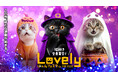 【過去最多170ブース超！】猫用品メーカー＆人気クリエイターが大阪に集結する「ラブリーにゃんフェスタin大阪2026」7月22日よりチケット販売開始