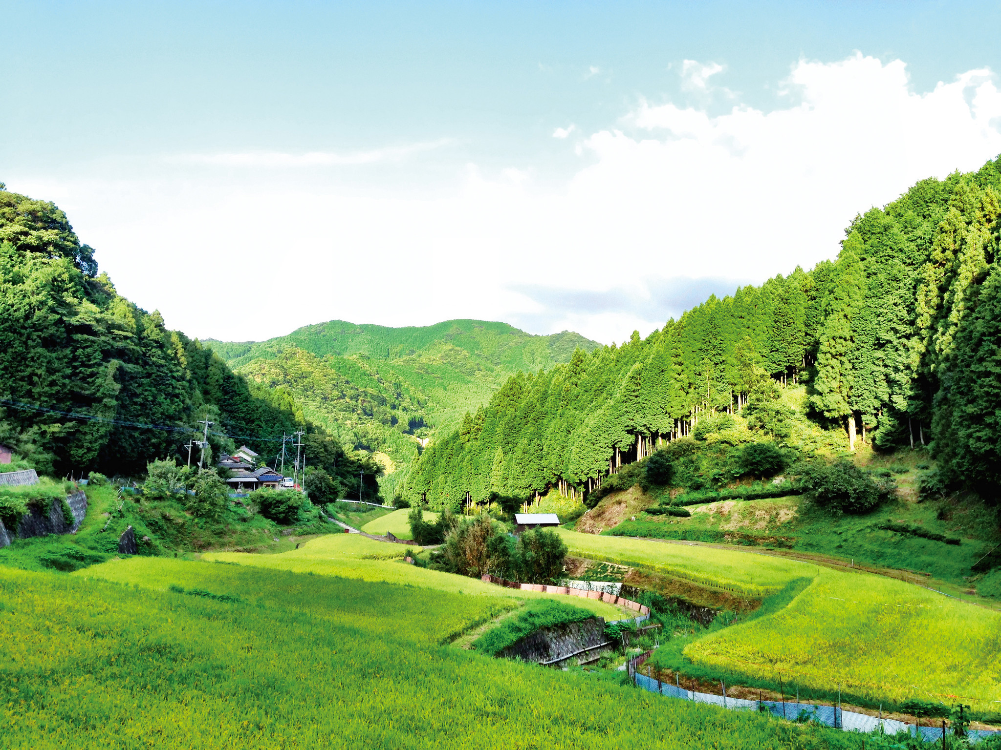 里山