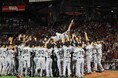 【BS日テレ】今シーズンのBS日テレ・巨人戦中継は、日本全国で 3,101 万人が視聴!オフシーズンも注目番組が目白押し!