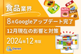 食品業界向け|2024年12月現在の8月のGoogleアップデート完了による分析レポート公開のお知らせ【2024年12月版】