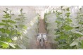 除草・防除作業を遠隔ラジコン操作で行える農作業支援ロボット「ウネマキ」を12月1日発売。全国で試せる先行体験を10月1日からスタート