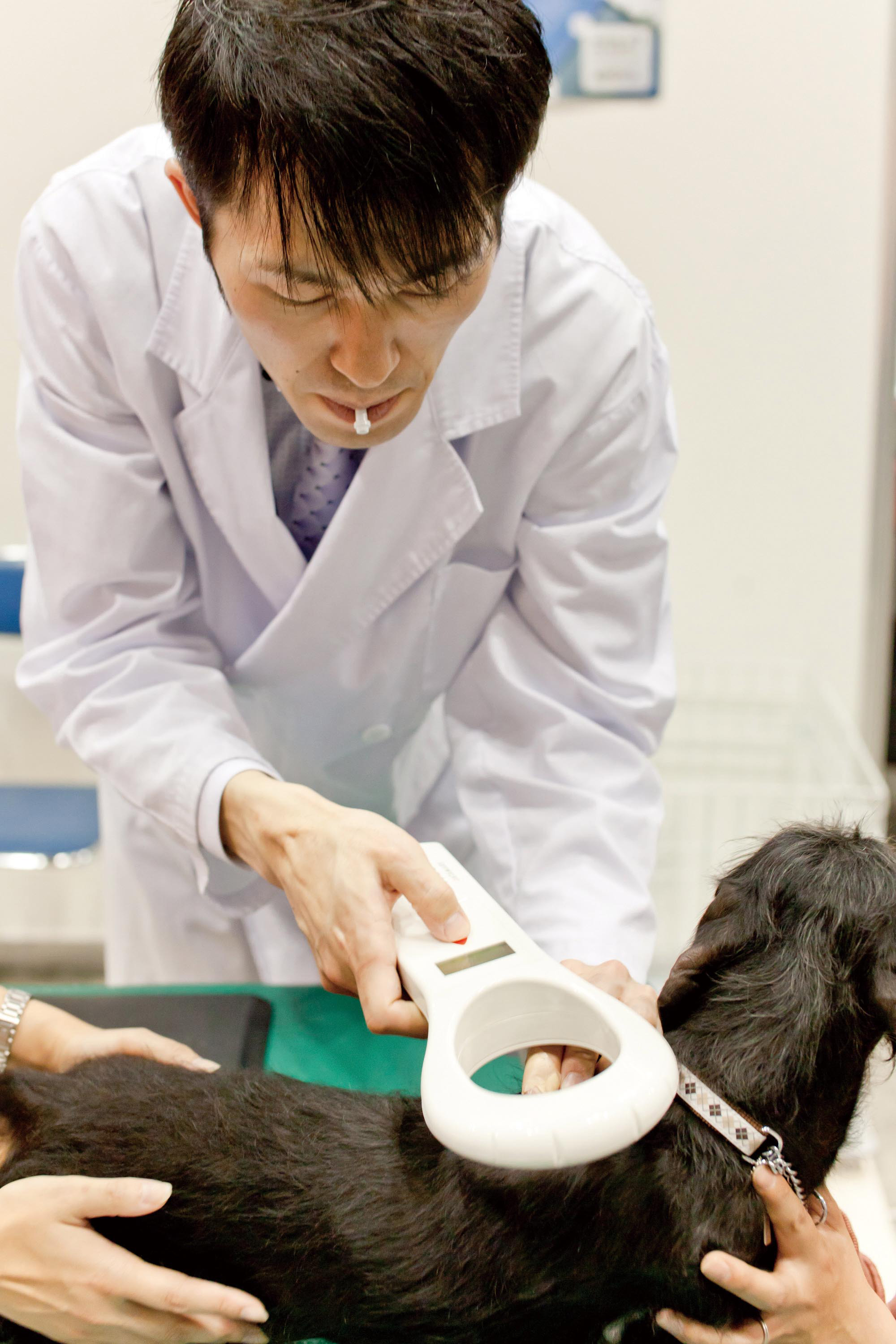 日本獣医師会のイベント「2011 動物感謝デーin JAPAN」においてマイクロチップ無償装着を実施 今後は提携動物病院・獣医師の募集を強化｜ペッツファースト株式会社のプレスリリース