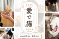 【世界猫の日/愛猫家必見】“うちの子”が主役に!昨年大好評の「愛で猫アワード」2025年も開催!【8月8日(金)スタート】