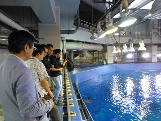 沖縄美ら海水族館での生態系研修