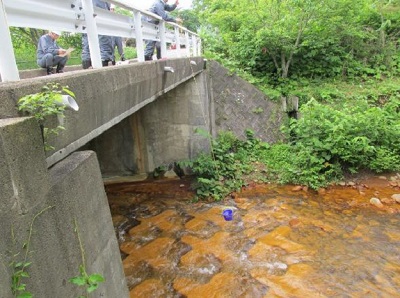 採水（富士見橋）