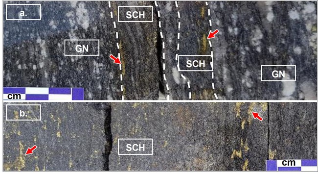 （a. CT1孔　161.20メートル、b. SW1孔　147.50メートル、GN：片麻岩、SCH：片岩） 黄色の鉱物が黄銅鉱（赤矢印で例示）