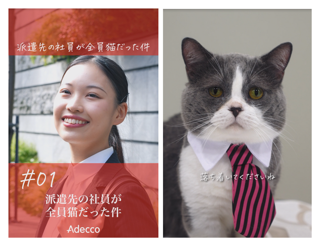 Adecco公式TikTok「派遣先の社員が全員猫だった件」イメージ画像