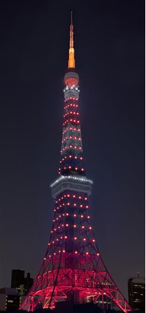 【11月5日に行う東京タワーのライトアップ(イメージ)】 【11月5日に行う東京タワーのライトアップ(イメージ)】