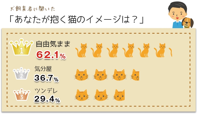 実は甘えん坊で寂しがり屋 猫の魅力は イメージとのギャップにある アイペット損害保険株式会社のプレスリリース