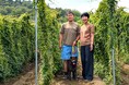 まちの新規就農支援を利用し移住5年目、今年のかぼちゃ収穫量は約100トン【矢部農園】
