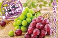 夏休みは焼肉と旬のぶどうを心ゆくまで堪能!焼肉【カルビ一丁】が8/5より「ぶどうフェア」を開催。果汁滴るフレッシュぶどう&特製スイーツが食べ放題!