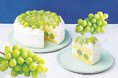 【椿屋珈琲】煌めく「シャインマスカットのショートケーキ」が新登場