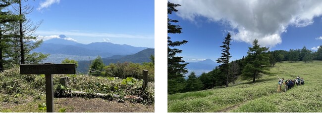 奥甘利山からの富士と千頭星山へのトレッキングルート