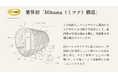 国産桧バレルサウナ「Rink SAUNA」が業界初の“高気密Mitsuna(ミツナ)構造”をリリースしました