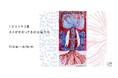 ミロコマチコ展「カメがせおってるのは星たち」2026年7月3日（金）から 8月30日（日）まで、瀬戸市のSTUDIO 894 ギャラリーで開催