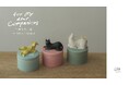 平澤まりこ個展「for my dear Companions －愛しきものたちへ」 2026年9月5日（土）から10月26日（月）まで、瀬戸市のSTUDIO 894 ギャラリーで開催