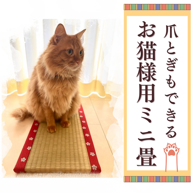 猫好き必見！熊本県産い草%お猫様専用ミニ畳予約販売を