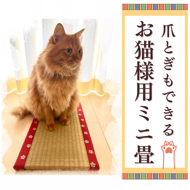 猫好き必見！熊本県産い草100%「お猫様専用ミニ畳」予約販売を