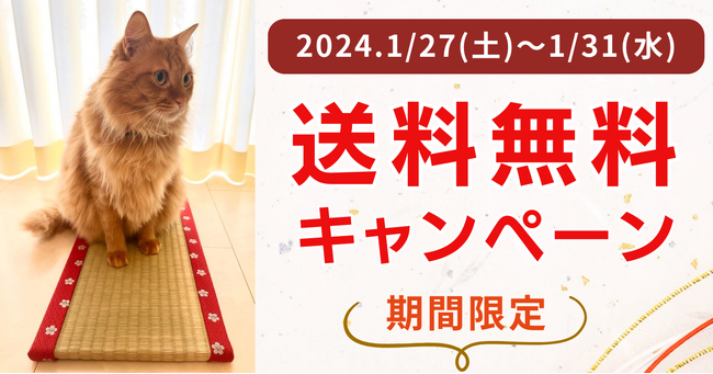 予約殺到！お猫様専用ミニ畳等 】送料無料キャンペーン開催【1/27-1/31