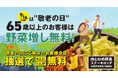 『肉と炒め野菜 ステーキロッヂ 秋葉原電気街口店』で9/16(月・敬老の日)、65歳以上の方は野菜増し無料サービス! 10人に1人が無料になるくじ引きも実施!