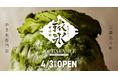 京都先斗町に『甘味処 旅氷』が4月3日（金）オープン！東京・湯島の人気店『サカノウエカフェ』監修のご褒美かき氷で安らぎの時間を提供します！