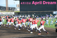 野球の感動を、みんなの挑戦に。香川オリーブガイナーズのApril Dream