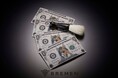 【新発売】BREMEN（ブレーメン）から『ドンキーダラーテックス』が新発売