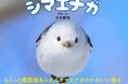 もふもふ（・⊝・）しゅっぱつ！　北海道の冬空を自由自在に飛び回る"雪の妖精"シマエナガのもふふわ写真集『ロケットシマエナガ』が、12月23日発売！　2026年カレンダーも発売中、大好評重版出来！