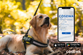新サービス「Cosewa」、サービスリリースのお知らせ