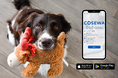 ペットシッターとのマッチングアプリ「Cosewa」の累計ユーザー数、まもなく1,500人に到達!
