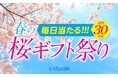 【脱毛サロンストラッシュ】春の桜ギフト祭り!X限定キャンペーンを開催