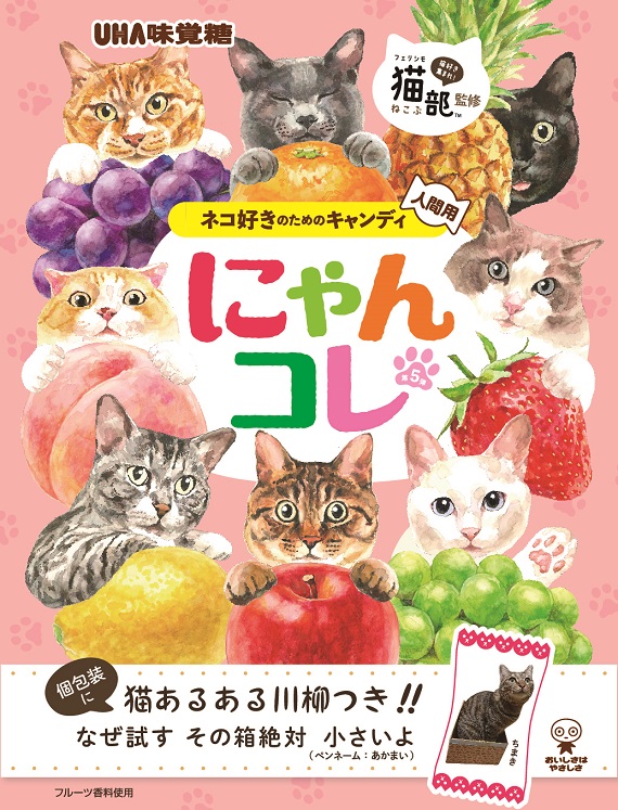 素材/材料【新品】 フェリシモ 猫部 カットクロス ポップ オックス 生地 キャンディ