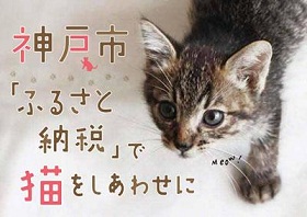 そこで寝ちゃうの？ だら～ん猫の傘タグ」が『フェリシモ猫部™』から新