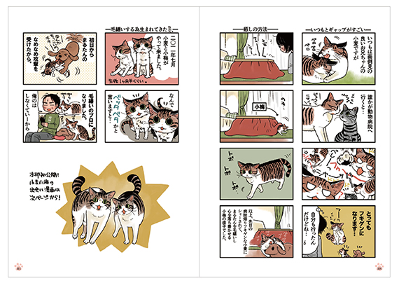 フェリシモ猫部 ブログの人気no 1連載 猫あるある コミックエッセイ 猫 まみれライフ 第1巻が19年1月11日発売 株式会社フェリシモのプレスリリース