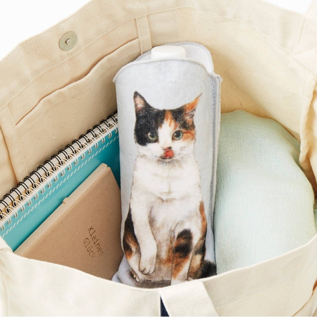 にゃんこがあなたを見つめます。「机の上におすわり 猫のペットボトルタオル」がフェリシモYOU+MORE!から誕生｜株式会社フェリシモのプレスリリース