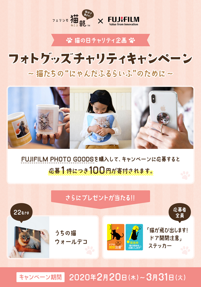 Fujifilm Photo Goods フェリシモ猫部 フォトグッズチャリティーキャンペーン を開催 株式会社フェリシモのプレスリリース