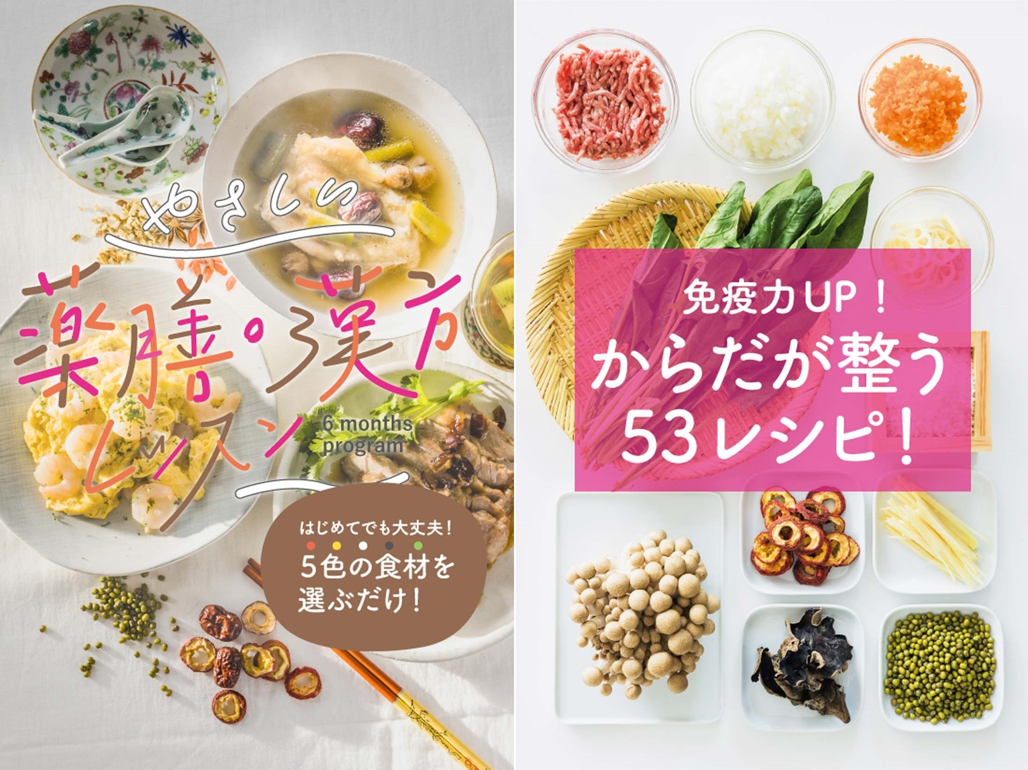 最新 本 漢方健康料理 - 世界的に有名な 全8冊セット 全8巻 雄渾社 本