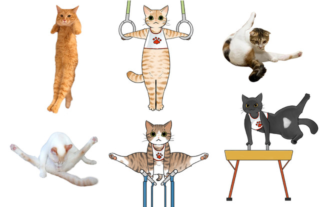 からだのやわらかい猫を体操選手にした 体操猫 のマフラータオルとスポーツ巾着が フェリシモ猫部 から新登場 株式会社フェリシモのプレスリリース