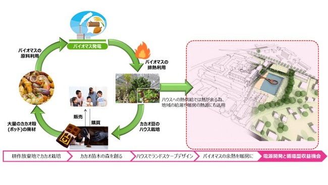 カカオの森づくりを通した循環型社会づくりのイメージ