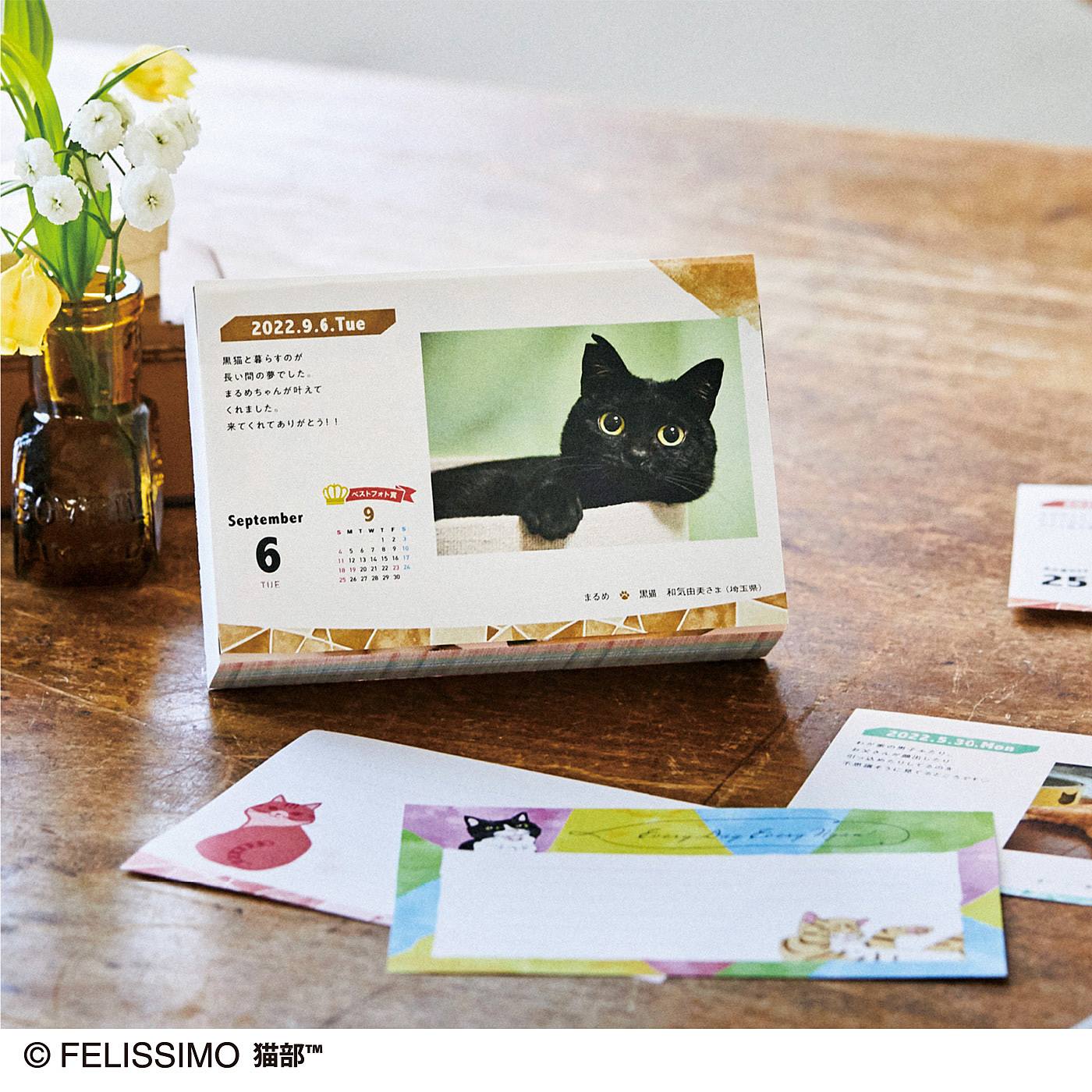 猫の写真とエッセイでつくられる日めくりカレンダー まいにちにゃんこ22 が フェリシモ猫部 から新登場 株式会社フェリシモのプレスリリース