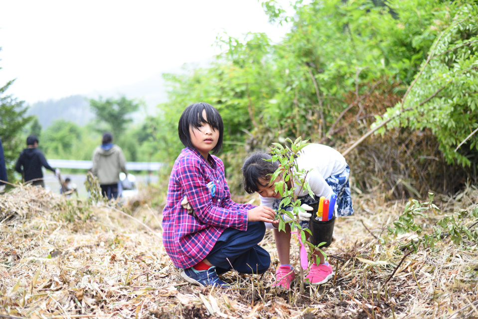 アカテガニの森 づくりとホタル観察 小網代の森 プロジェクト 神奈川県三浦市 6月4日 土 開催の参加募集 要事前申し込み 株式会社フェリシモのプレスリリース