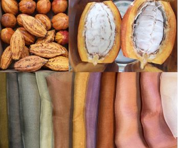 『カカオ染の森さんぽ-フェリシモ チョコレート ミュージアムと植物染造形作家いまふく ふみよ共同実験工房-』 『カカオ染の森さんぽ-フェリシモ チョコレート ミュージアムと植物染造形作家いまふく ふみよ共同実験工房-』